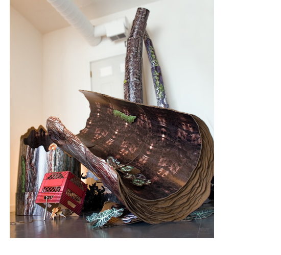 large image of "deadfall (canopy gap)"